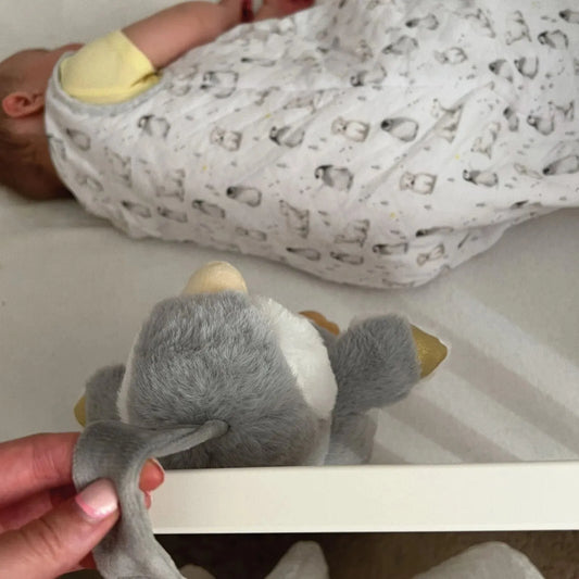 Aide au sommeil Nuby Penguin avec capteur de pleurs