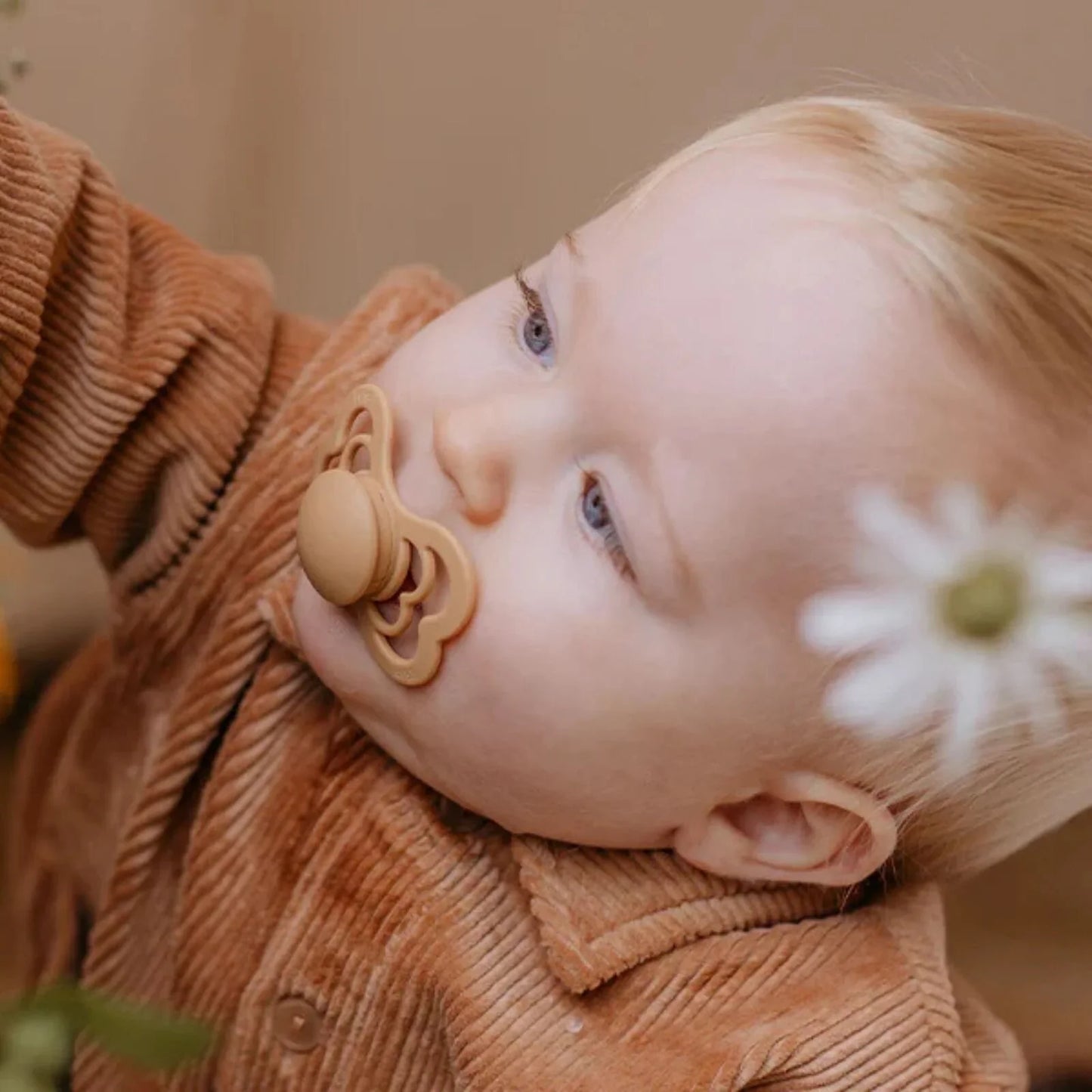 Sucettes en latex BIBS Supreme, 6 mois et plus, lot de 2 - Ivoire et Sauge