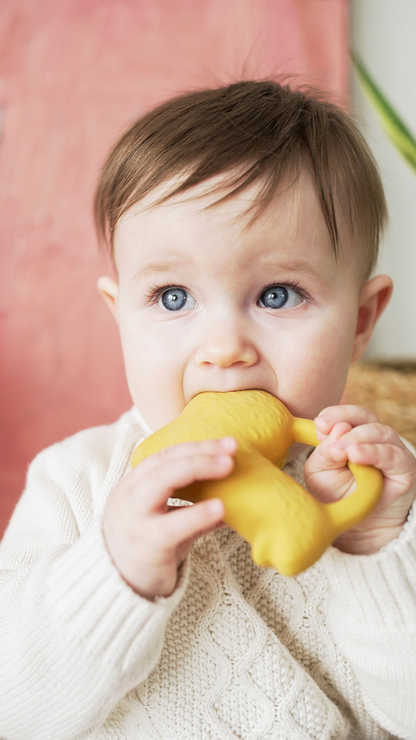 Oli & Carol x Donna Wilson Richie Lion Teether