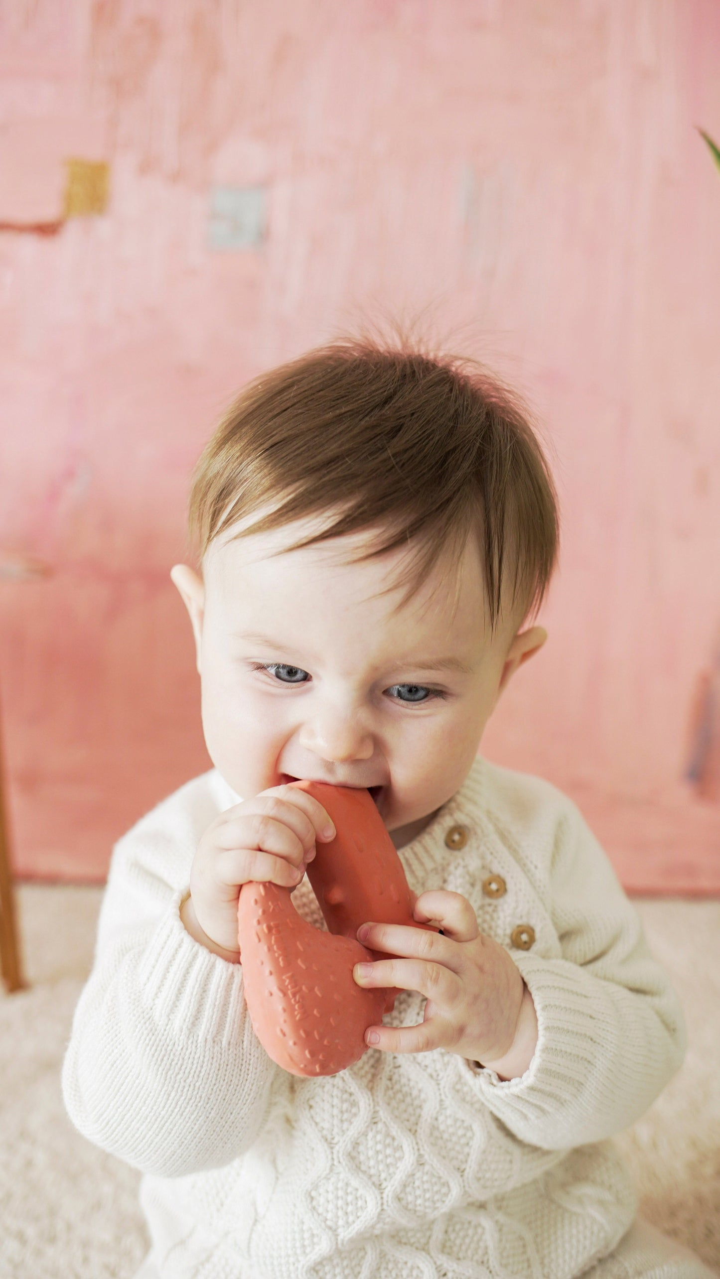 Oli & Carol x Donna Wilson Cyril Squirrel Fox Teether