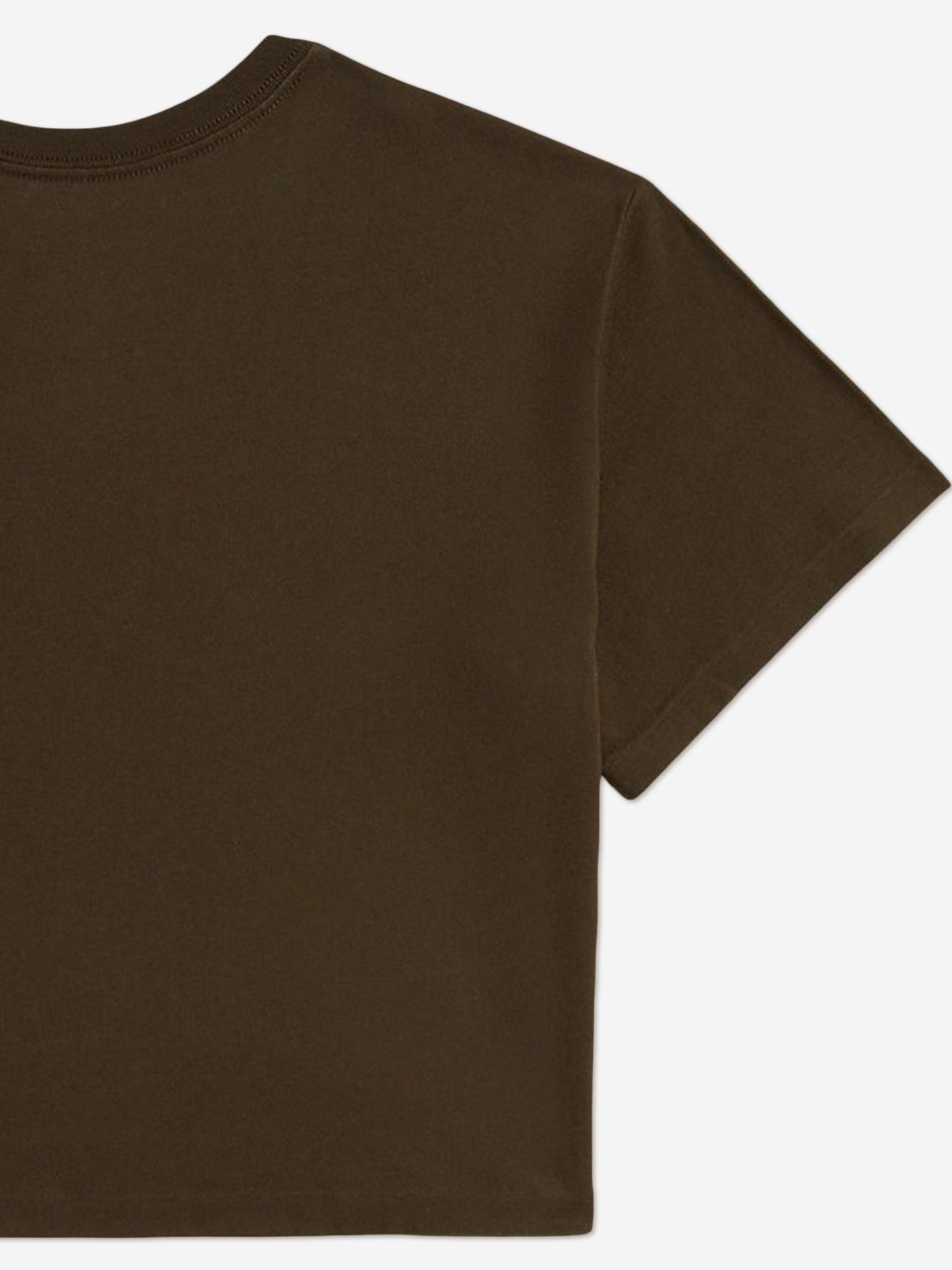 Ralph Lauren Girls Polo Logo T-Shirt in Brown