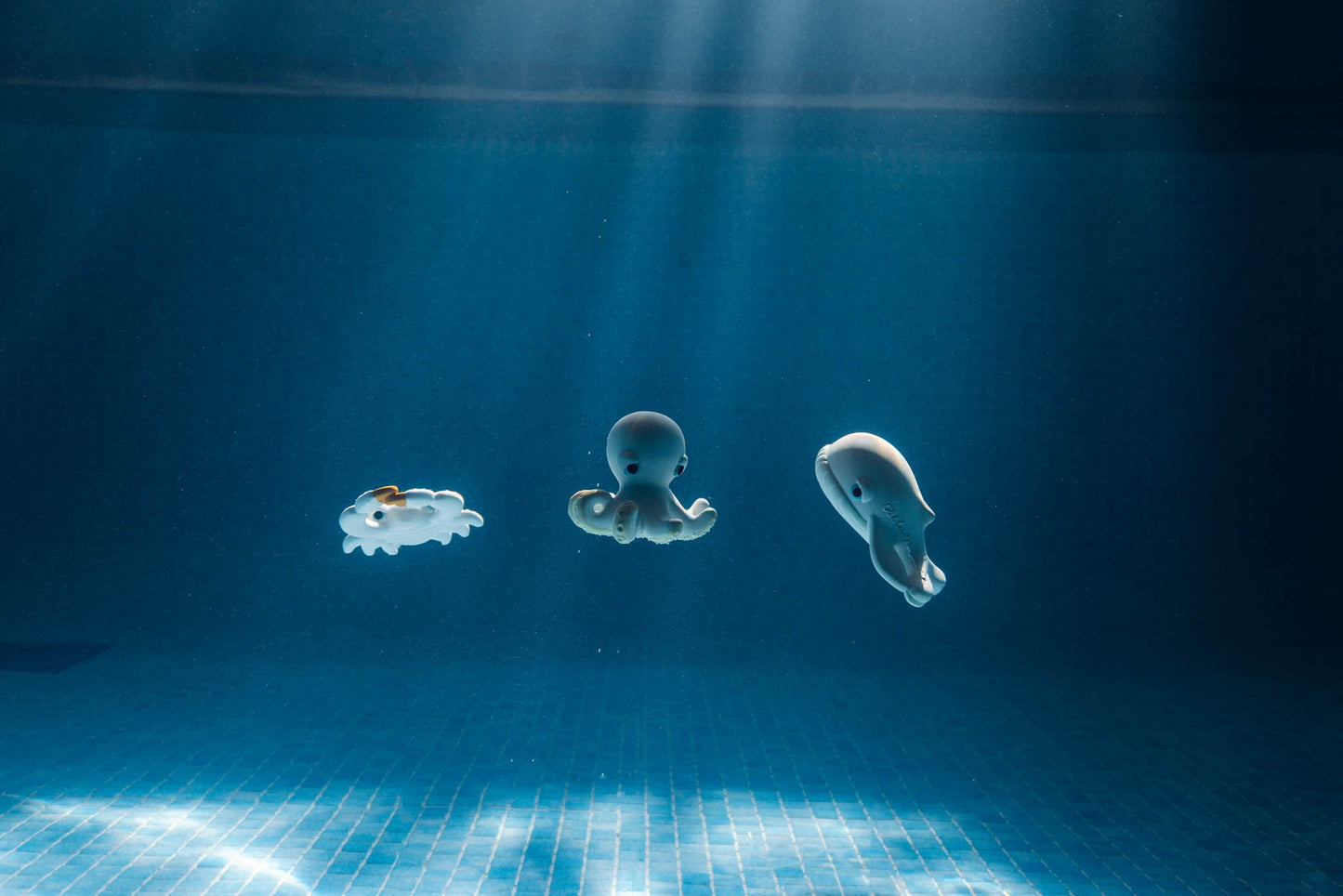 Oli & Carol x BIGSTUFFED Walter the Whale Bath Toy