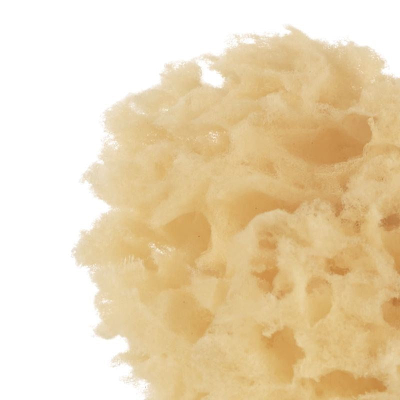Natural Sponges (2 Pack)