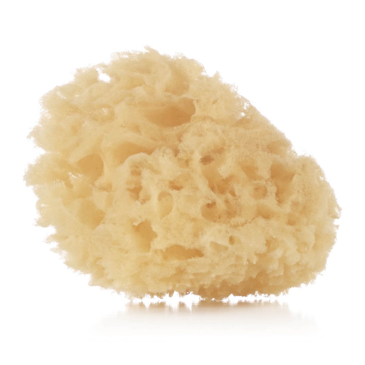 Natural Sponges (2 Pack)