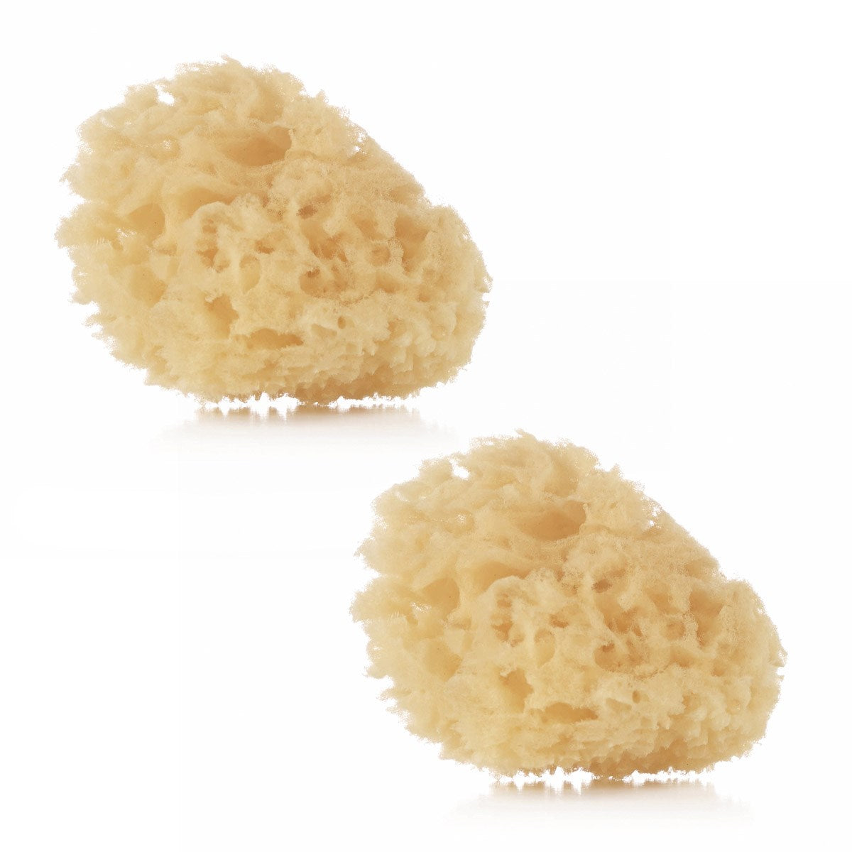 Natural Sponges (2 Pack)