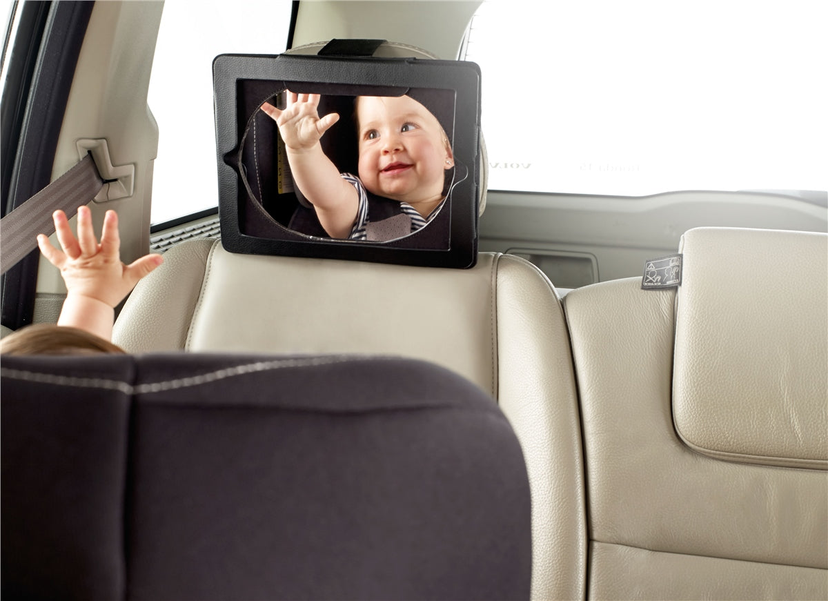 Backseat Mirror and Tablet Case
