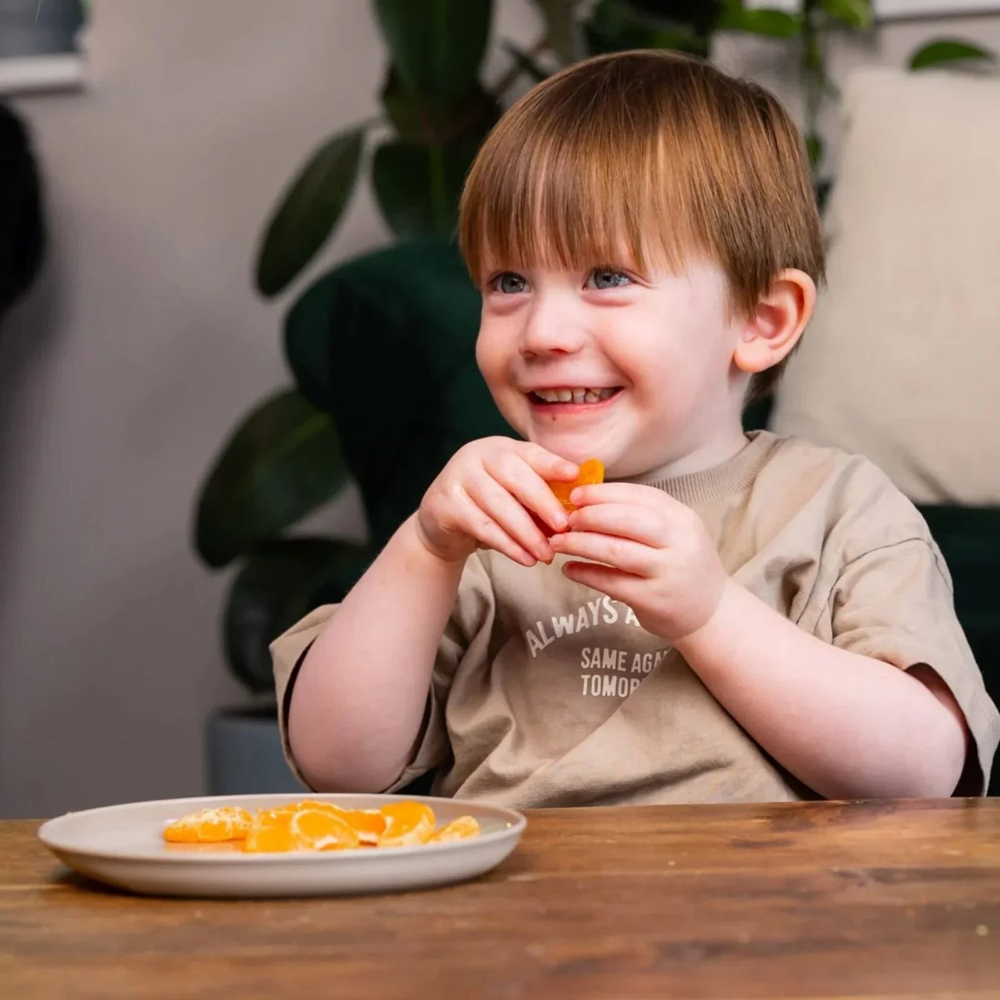 Vital Baby Nourish Perfectly Simple Plates Pack of 5