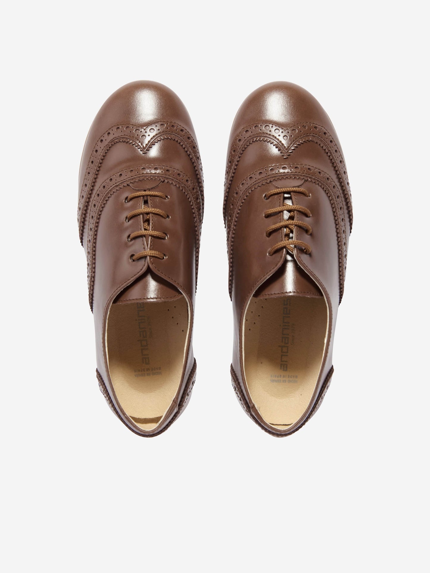 Andanines Boys Leather Lace Up Shoes in Brown