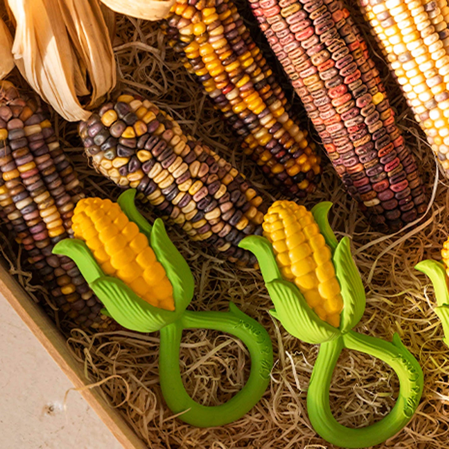 Oli & Carol Corn Rattle Toy