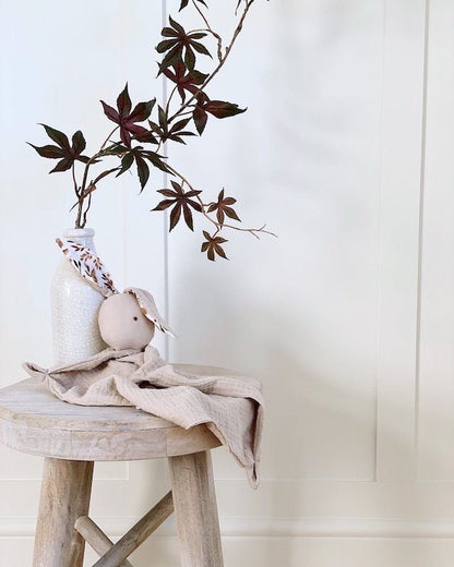 Inspired By Nature Collection