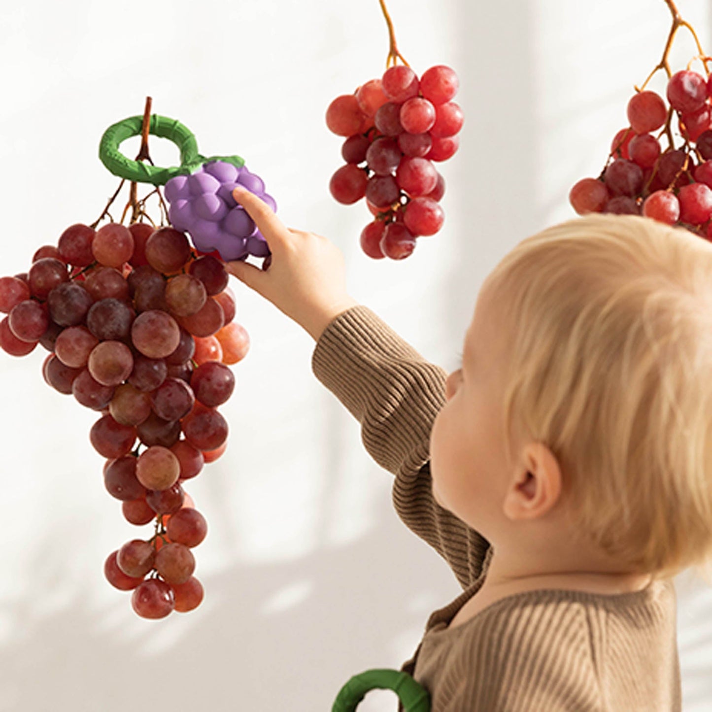 Oli & Carol Grape Baby Rattle & Teether