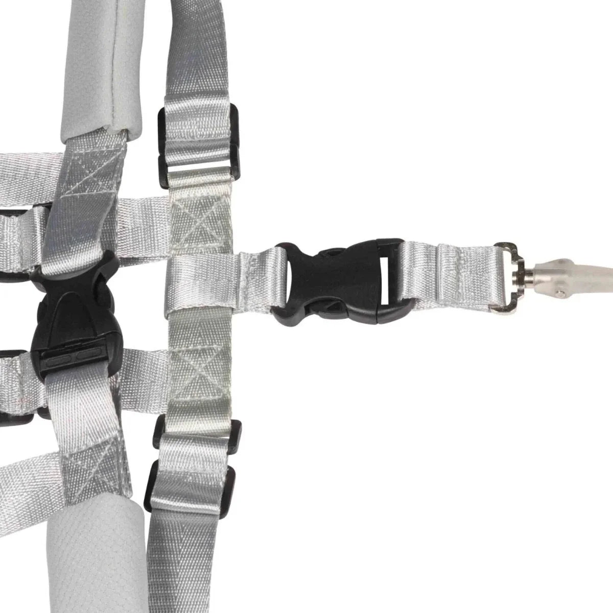 Dooky Safety Harness Set 