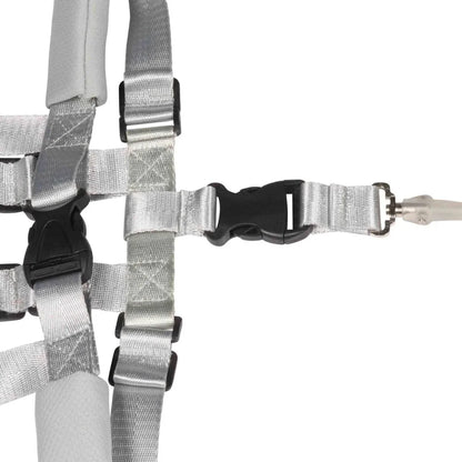 Dooky Safety Harness Set 
