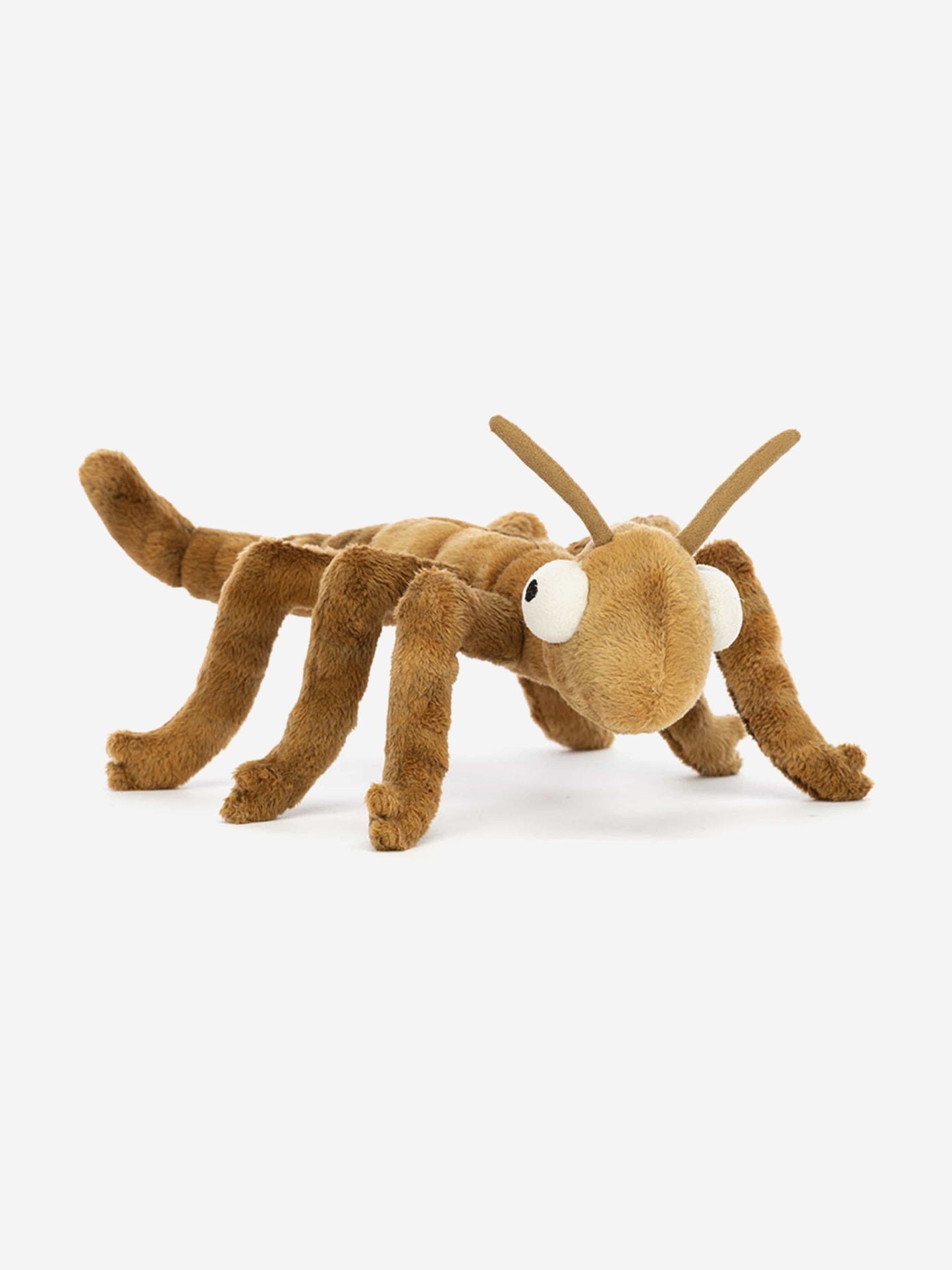 Stanley Stick Insect in Brown (27cm)