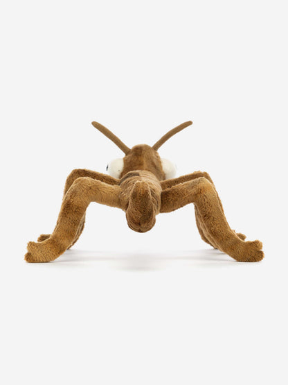 Stanley Stick Insect in Brown (27cm)