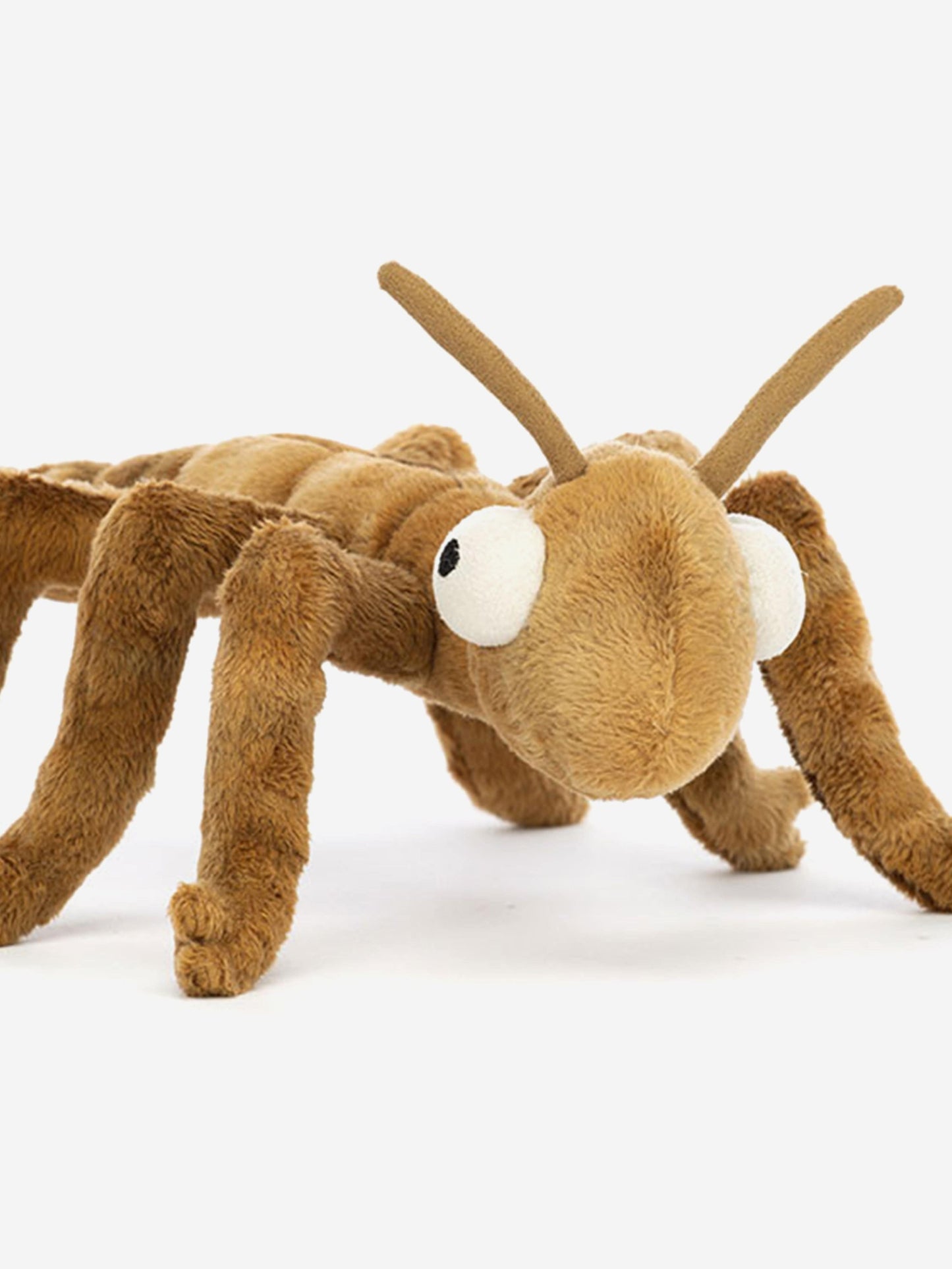 Stanley Stick Insect in Brown (27cm)