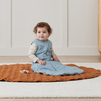 ergoPouch - Organic Winter Jersey Sleeping Bag - Dragonflies 2.5 TOG