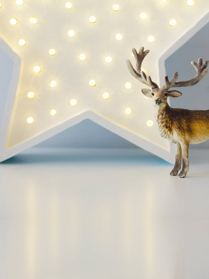 Little Lights Star Lamp in White (29×29x5.5 cm)