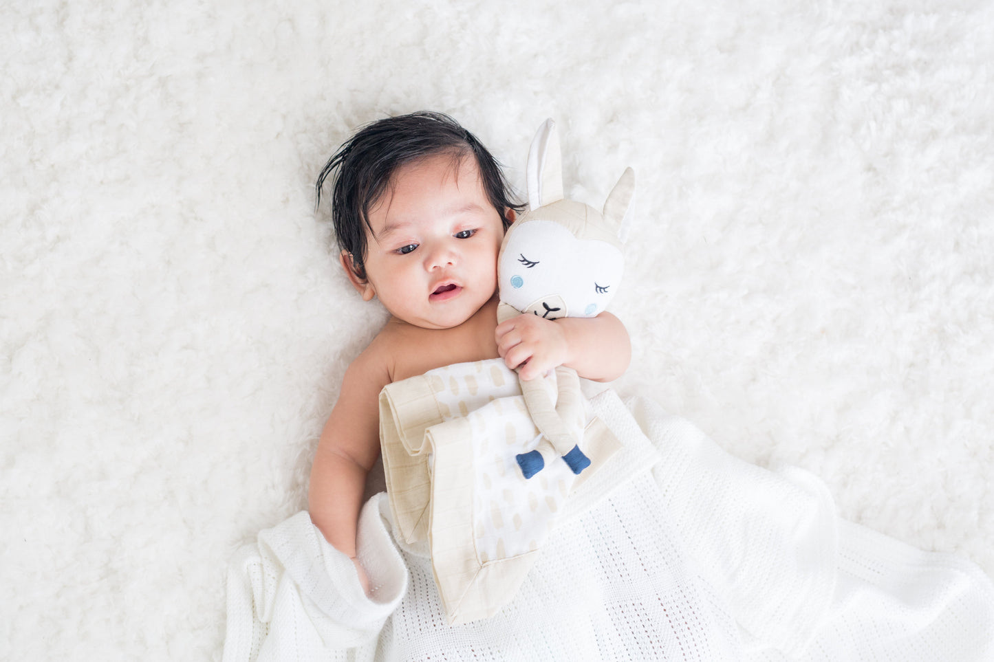 Lulujo - Cotton Muslin Lovie - Llama