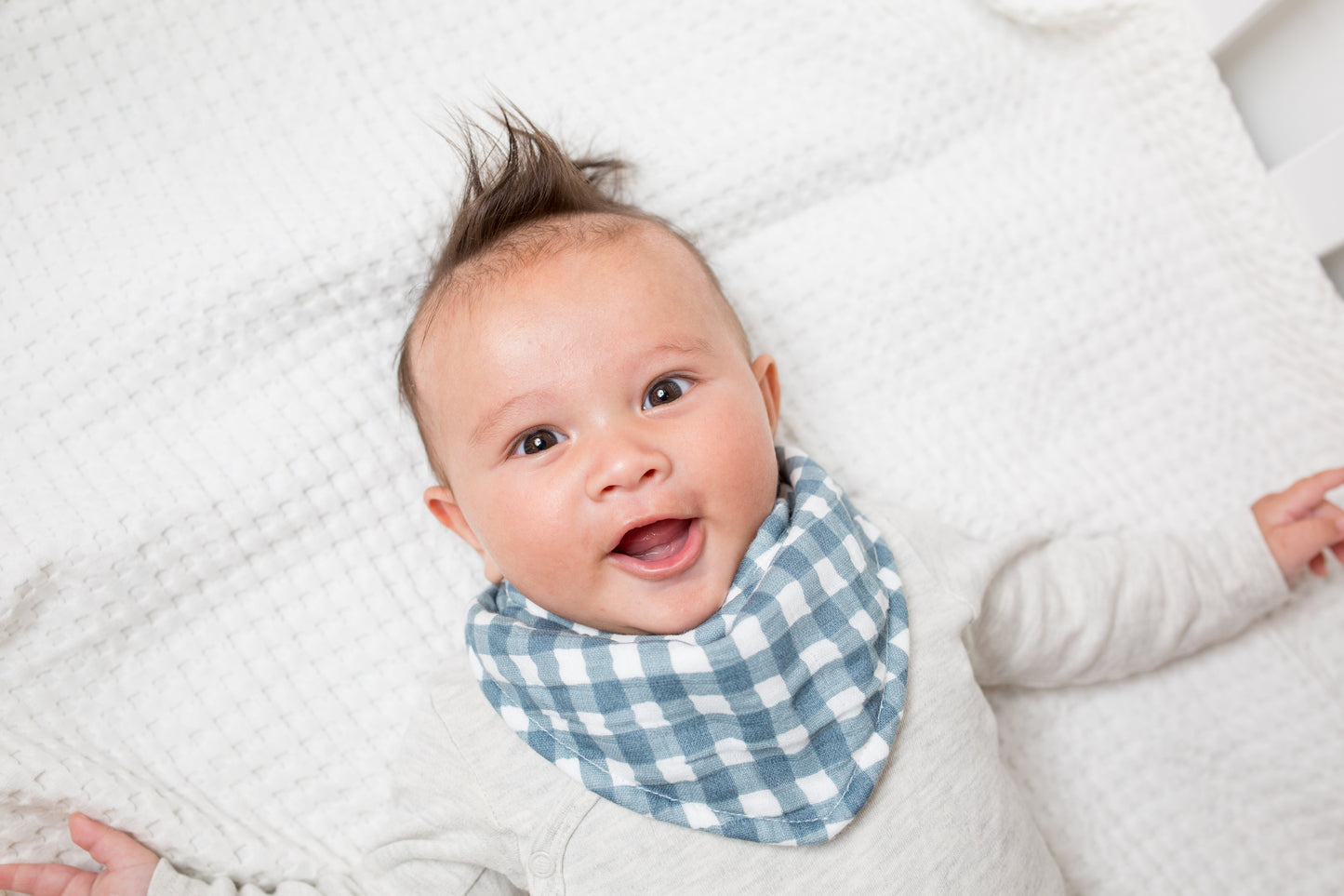 Lulujo - 2 pack Bandana Bib - Fish & Navy Gingham