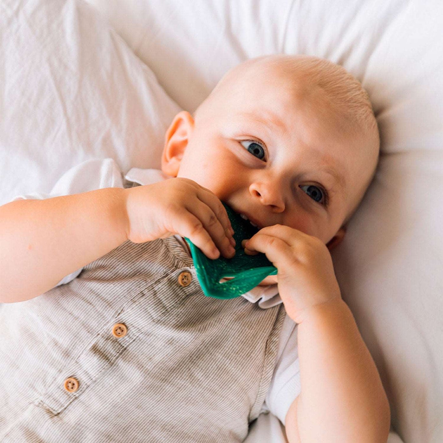 Oli & Carol Chlorophyll Leaf Teether
