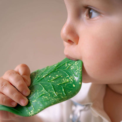 Oli & Carol Chlorophyll Leaf Teether