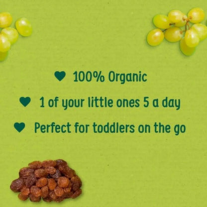 Organix Raisins 36+ months 168g