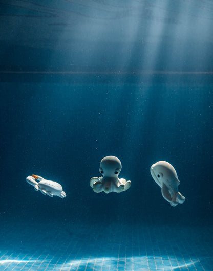 Oli & Carol x BIGSTUFFED Walter the Whale Bath Toy