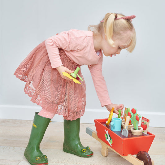 Ensemble de brouette de jardin