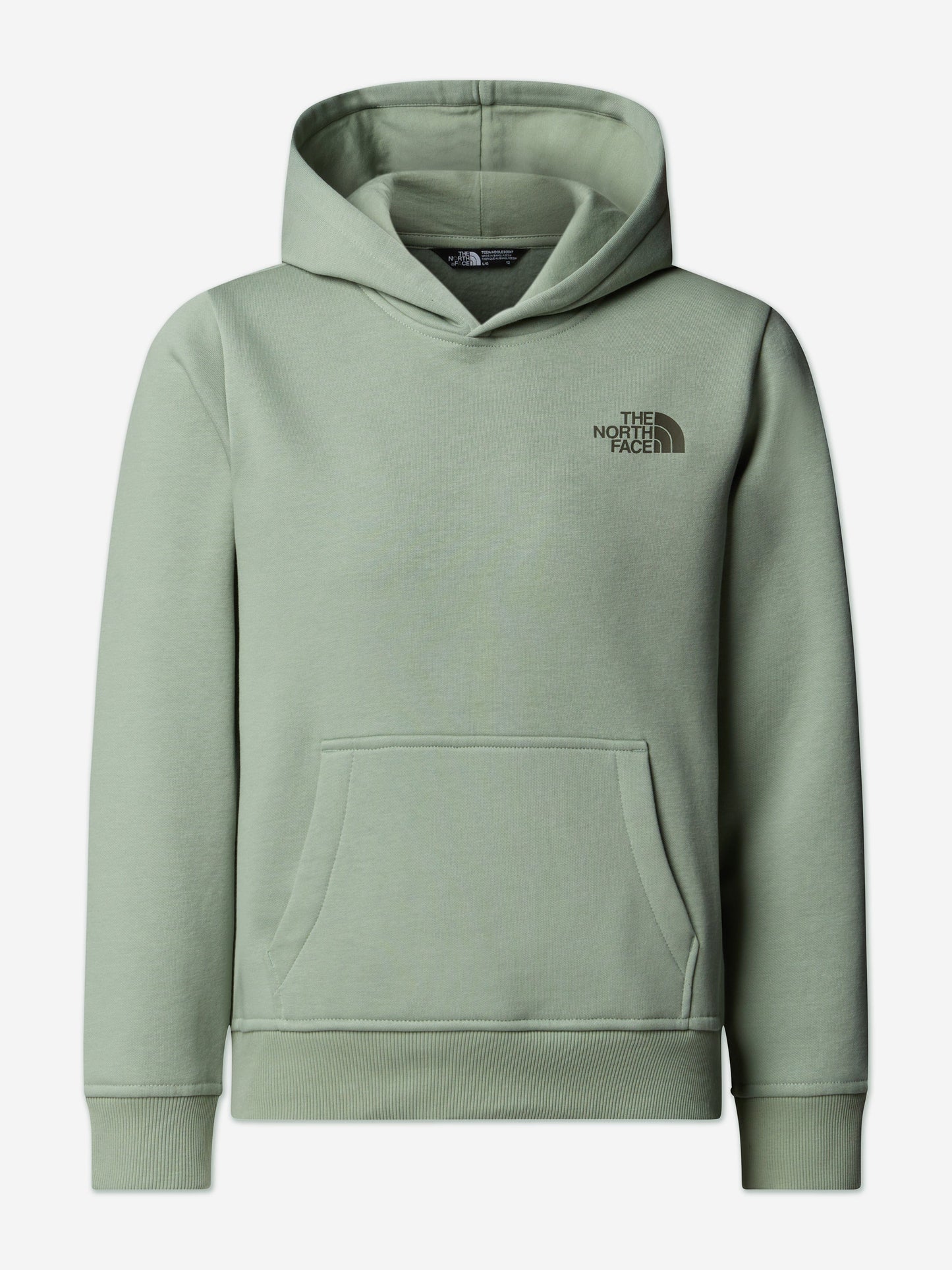 The North Face Kids Box NSE Regular Hoodie in Green