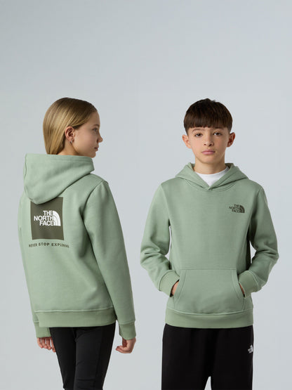 The North Face Kids Box NSE Regular Hoodie in Green