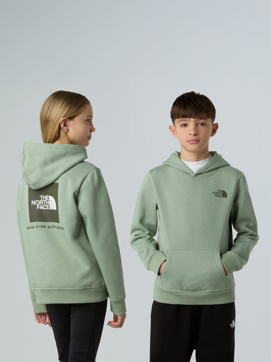 The North Face Kids Box NSE Regular Hoodie in Green