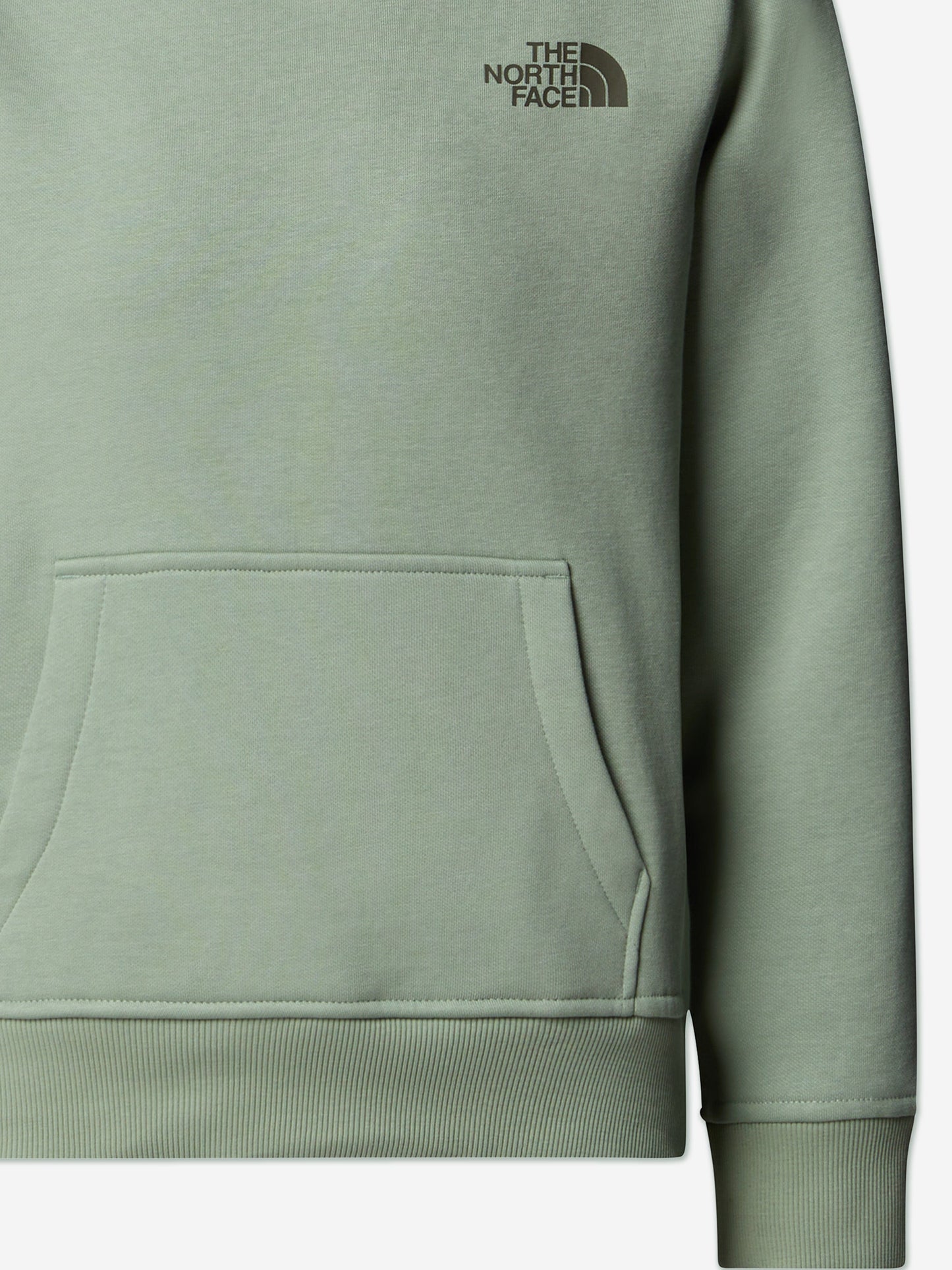 The North Face Kids Box NSE Regular Hoodie in Green