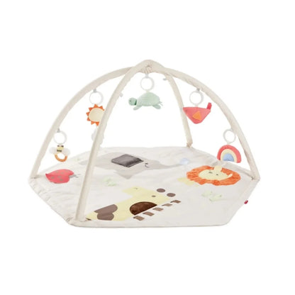 Skip Hop Geometric Wonders Activity Playmat