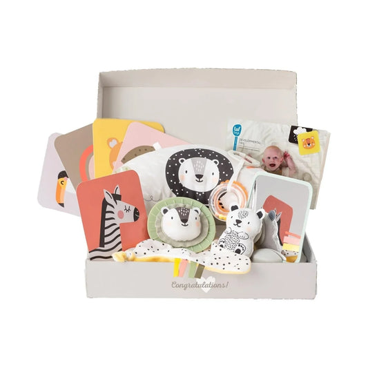 Kit de jeu et de développement pour nouveau-né Taf Toys