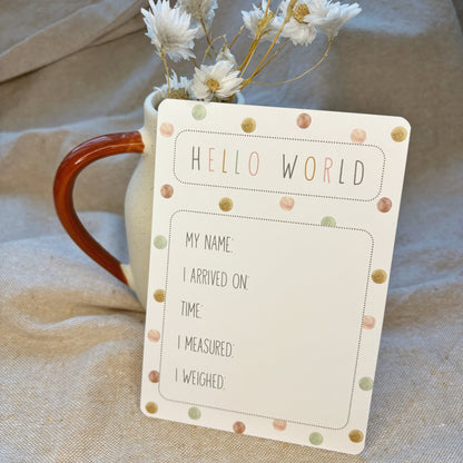 Baby Milestone Cards - The Little Hive
