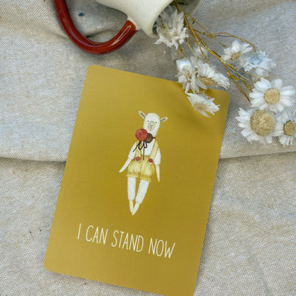 Baby Milestone Cards - The Little Hive