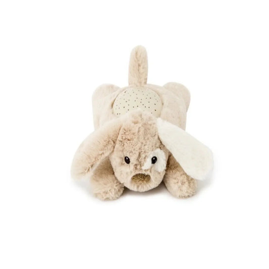Patch Chiot des Amis de Rêve Cloud.b