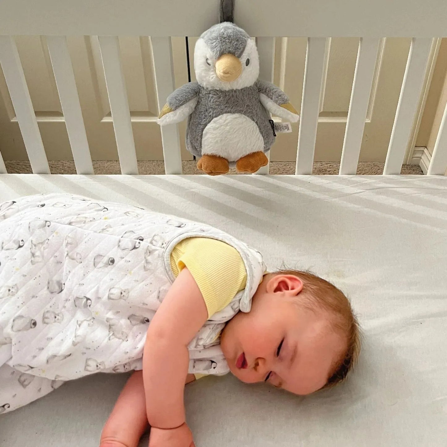 Nuby Penguin Sleep Aid with Cry Sensor