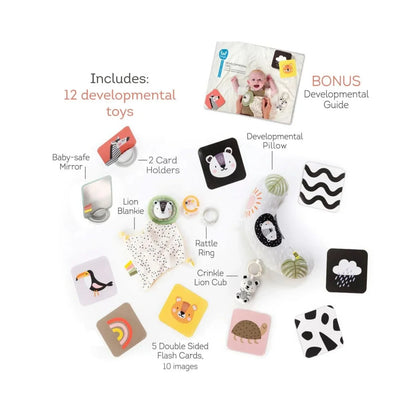 Taf Toys Newborn Play & Develop Kit