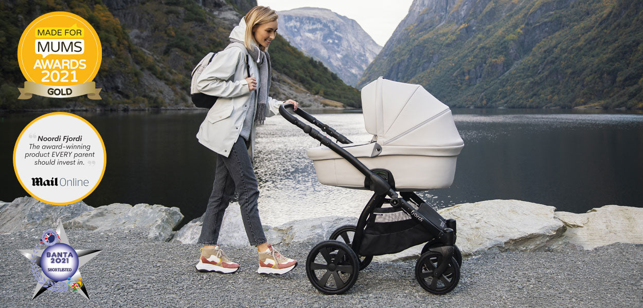 Noordi Fjordi V1 Leather 3in1 with Travel Carrier Car Seat