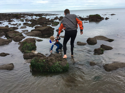 Original Hobbledehoo - The Little Hive