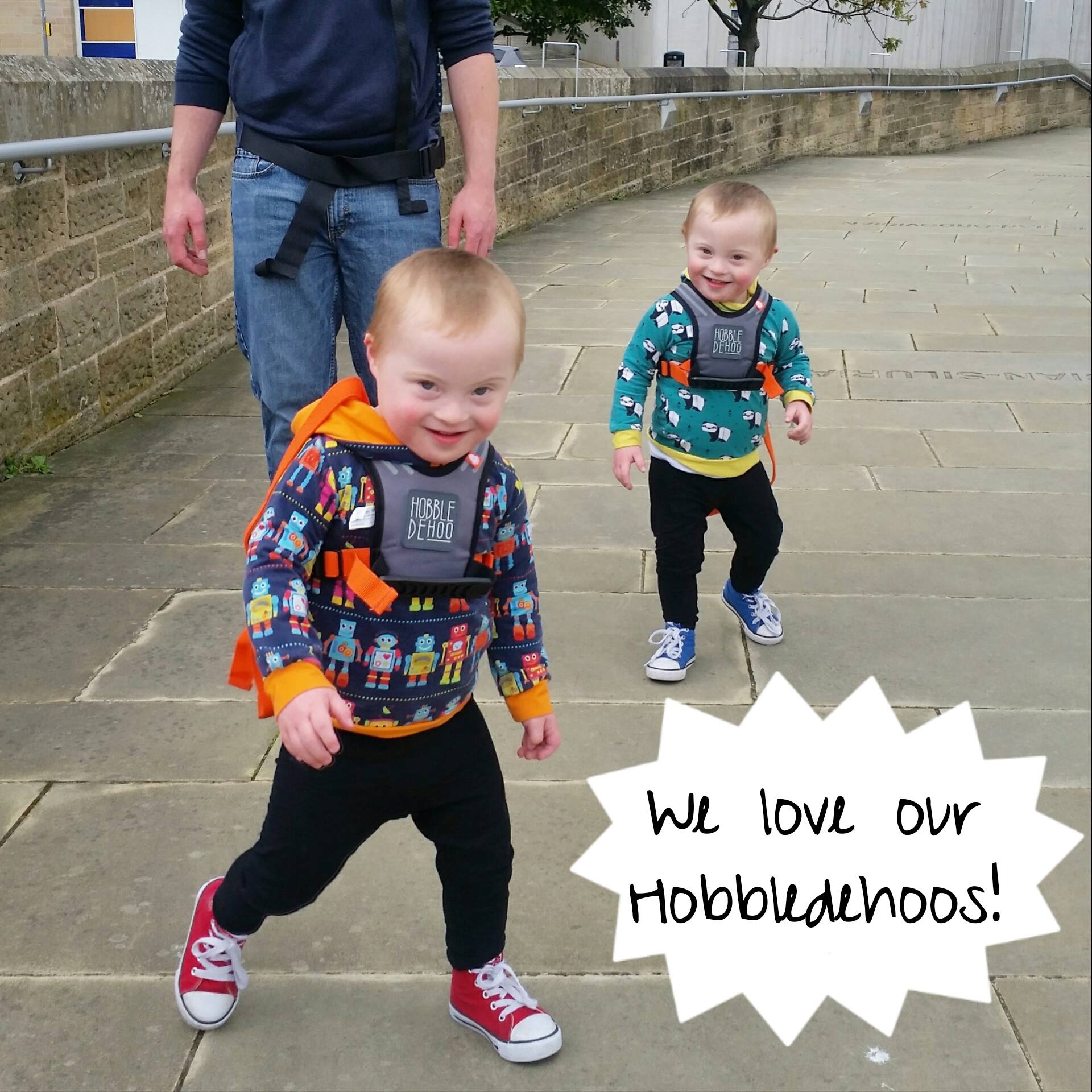 Original Hobbledehoo - The Little Hive