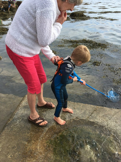 Original Hobbledehoo - The Little Hive