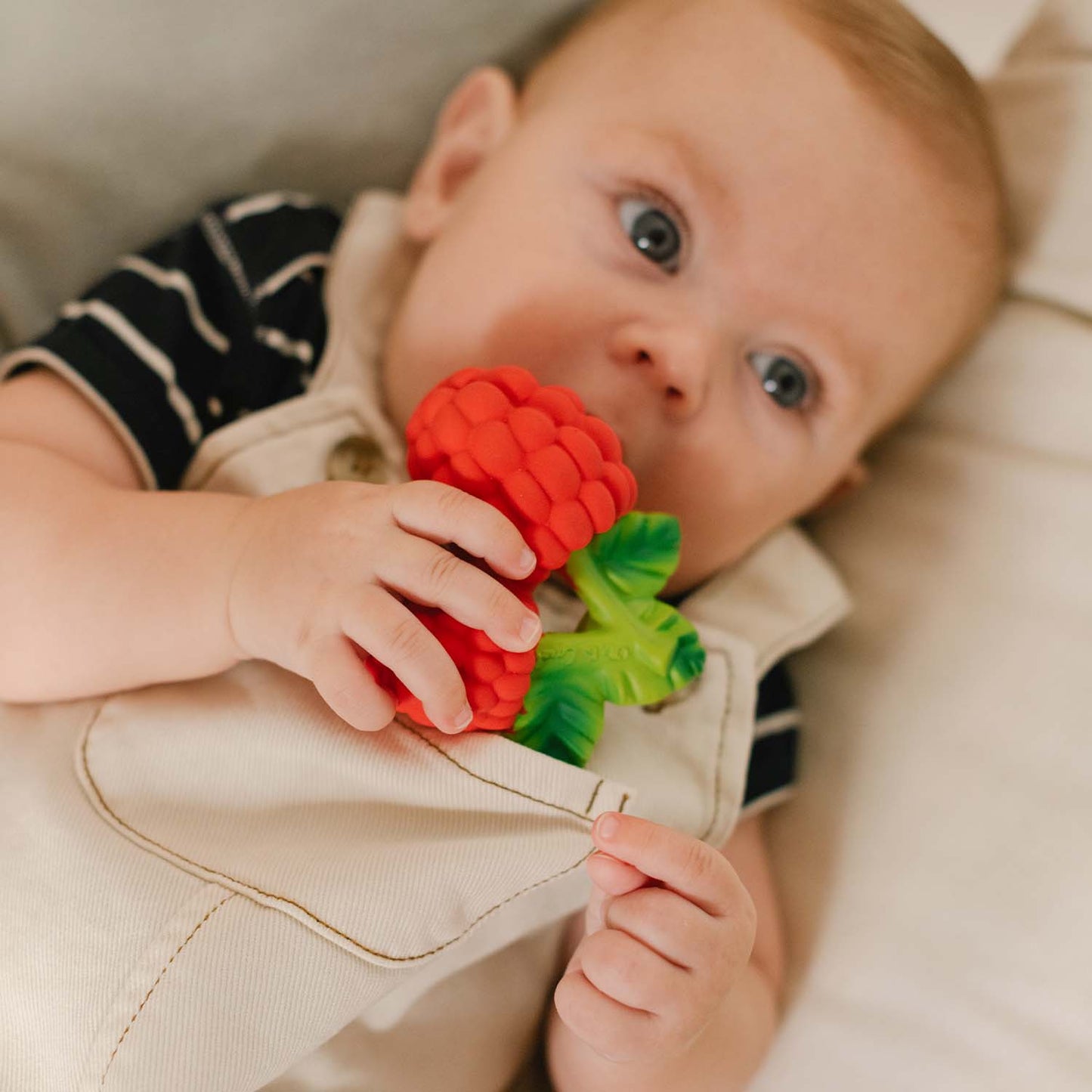Oli & Carol Valery the Raspberry Teether