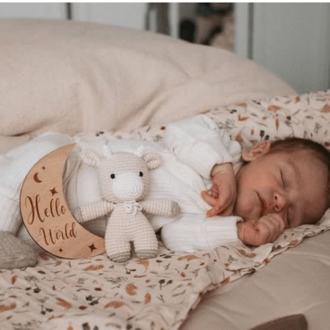 Wooden Month - by - Month Baby Milestone Set - The Little Hive