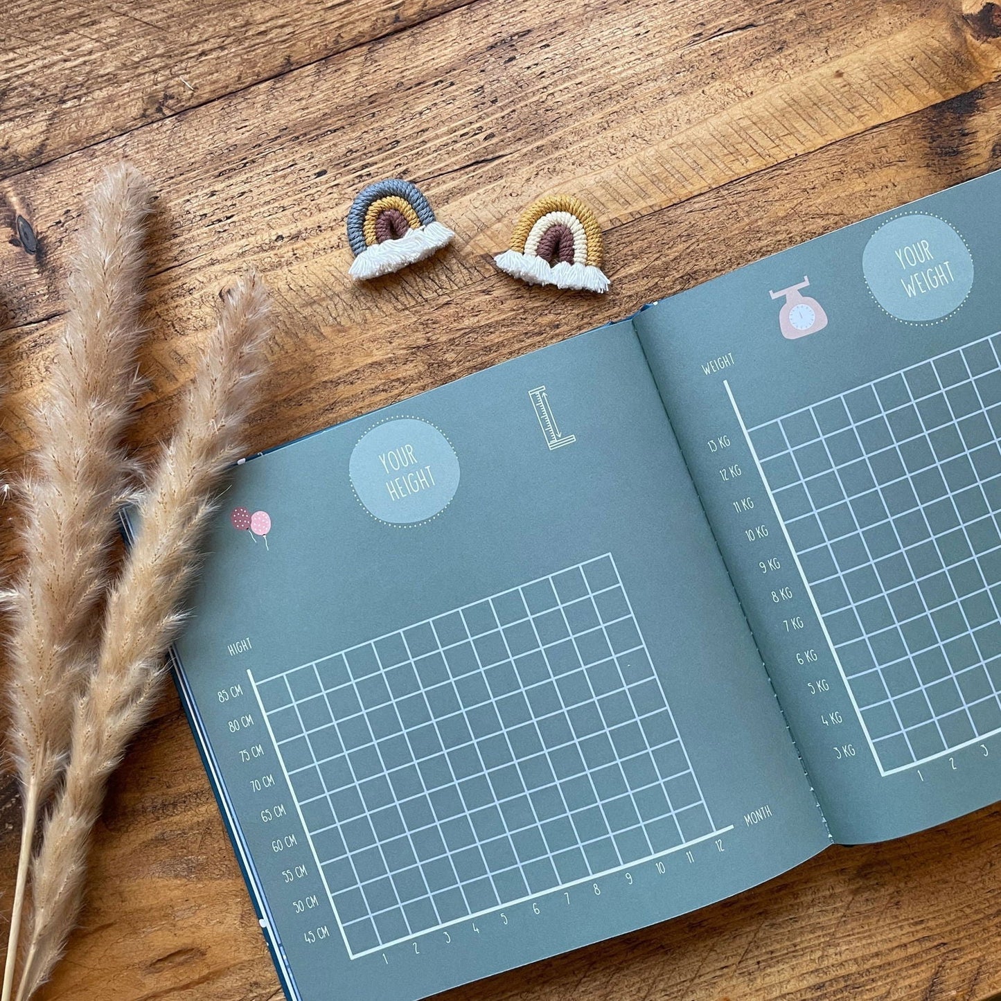 Your First Year - Baby Memory Book - The Little Hive